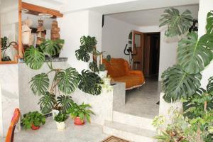 Posezení v ubytování Hotel Bobchev