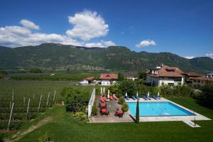 an aerial view of a swimming pool in a vineyard at Hotel Gantkofel in Andrian