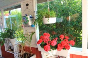 Φωτογραφία από το άλμπουμ του Wanha Autti Camping σε Autti