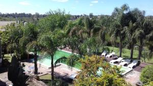 an overhead view of a swimming pool with palm trees at Hotel La Cautiva de Ramirez in La Paz