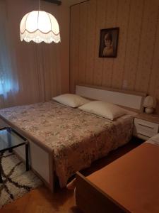 una camera con letto e lampadario a braccio di Guest House Mrvčić a Rupa
