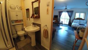 a bathroom with a sink and a toilet in a room at Hebergement Cerfs-Tifie fermette in Saint-Félix-d'Otis +44 photos