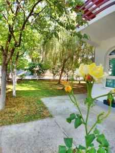 Gallery image of Forest Apartment in Nikšić