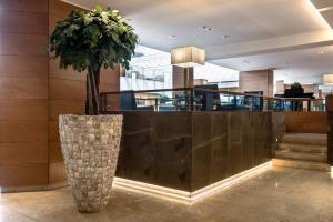 hol z rośliną w dużym wazonie w obiekcie Ergife Palace Hotel w Rzymie +35 zdjęć