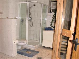 a bathroom with a shower and a toilet at Ferienwohnung Bei Franka mit Sauna in Freiburg im Breisgau