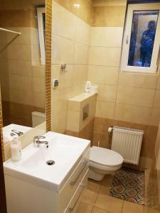 Kúpeľňa v ubytovaní Apartamenty i Pokoje przy Parku