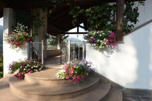 Zahrada ubytování B&B Magiré
