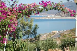 a view of the ocean from a hill with pink flowers at Turas Club Case Vacanze in Bosa