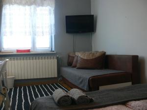 sala de estar con sofá y TV en Pokój Uniejów, en Uniejów