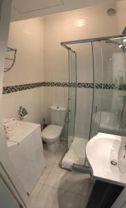 a bathroom with a toilet and a shower and a sink at Le Sancy appartement in Beausoleil