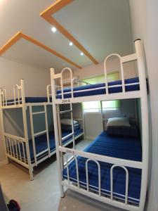 Bomgoro Guesthouse tesisinde bir ranza yatağı veya ranza yatakları