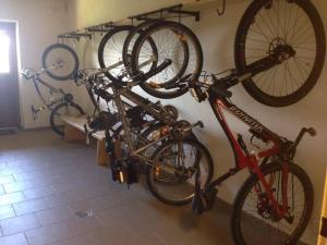 Jízda na kole v ubytování Penzion Luka nebo okolí