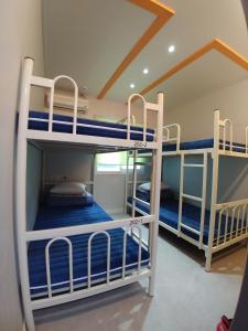 Tempat tidur susun dalam kamar di Bomgoro Guesthouse