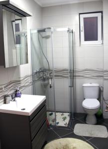 La salle de bains est pourvue d'une douche, de toilettes et d'un lavabo. dans l'établissement Apartment Leonis, à Belgrade