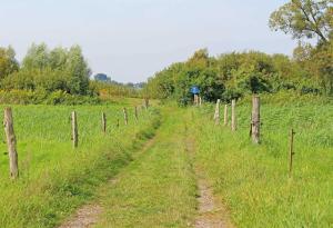 Galería fotográfica de Ferienwohnung Rechlin SEE 9081 en Rechlin