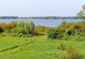 Galeri foto Ferienwohnung Rechlin SEE 9081 di Rechlin