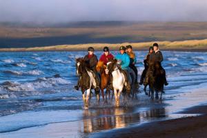 a group of people riding horses on the beach at Icelandhorsetours - Helluland in Sauðárkrókur