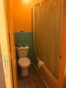 Pratt Budget Inn في Pratt: حمام صغير مع مرحاض ودش