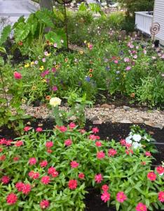 a garden filled with lots of flowers and plants at Black Boar Inn Ogunquit in Ogunquit