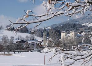Haus Goldeggblick v zimě
