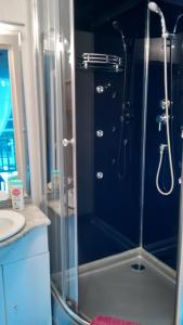 een badkamer met een douche en een glazen deur bij Les chambres du lac in Forges-les-Eaux