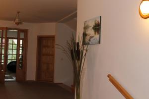 Fotografia z galérie ubytovania Villa Mamry v destinácii Węgorzewo