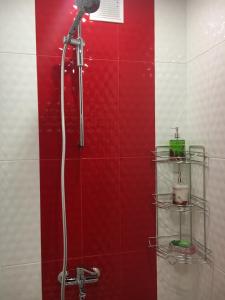 een douche in een badkamer met een rode muur bij Apartment on Yushchenka 5 in Vinnytsya
