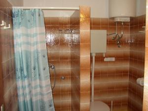 a bathroom with a shower with a shower curtain at Apartments Runac in Stari Grad