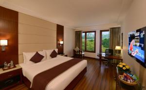 um quarto de hotel com uma cama e uma televisão de ecrã plano em Lords Plaza Jaipur em Jaipur