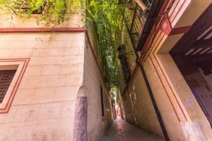 Gallery image of Apartment in the centre (Judería) in Seville