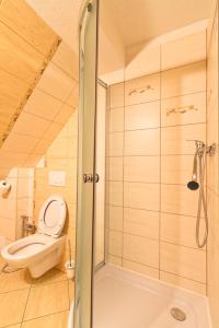 a small bathroom with a toilet and a shower at Studia Aurora in Demanovska Dolina
