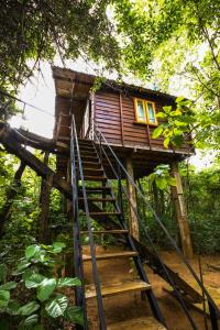 una casa en el árbol con escaleras que conducen a ella en The Thick Forest en Sigiriya