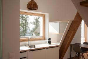 a kitchen with a sink and a window at Aiglberger Hofapartments in Steyr +17 photos