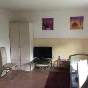 ein Wohnzimmer mit einem TV, einem Tisch und einem Bett in der Unterkunft Gästehaus Peterhoff in Düren - Eifel
