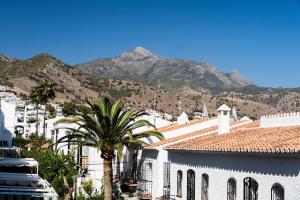 a view of a city with a palm tree and mountains at Hostal Alegre in Nerja