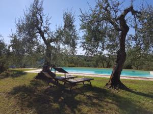 Fotografie z fotogalerie ubytování Agriturismo Le Querce v destinaci Palaia + 43 fotografií