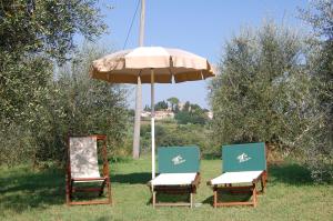 Fotografie z fotogalerie ubytování Agriturismo Le Querce v destinaci Palaia