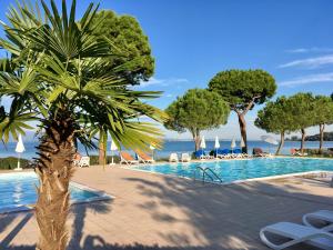 a palm tree in front of a swimming pool at Le Corti Del Lago in Padenghe sul Garda