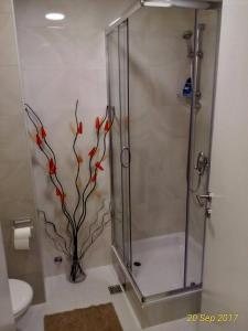 a bathroom with a shower with red flowers painted on the wall at Apartment Frida in Belgrade