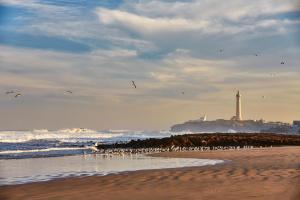 a flock of birds standing on a beach with a lighthouse at Four Seasons Hotel Casablanca in Casablanca