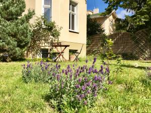 Zahrada ubytování Bürgerpark Apartments