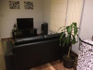 um sofá de couro preto numa sala de estar com uma planta em Pasaje Claro em Neuquén