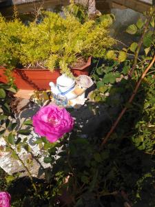 a garden with flowers and a vase on the ground at Vivenda Familia Pedro in Vila do Bispo