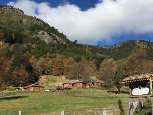 a group of buildings in a field with a mountain at KuyKuy Lodge in Malalcahuello +16 photos