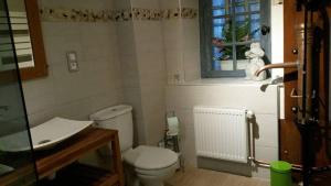 ein Bad mit einem WC, einem Waschbecken und einem Fenster in der Unterkunft La CRAPOUNETTE in Pierry
