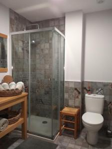 a bathroom with a shower and a toilet at Casa Rural Isabel in Villaflores