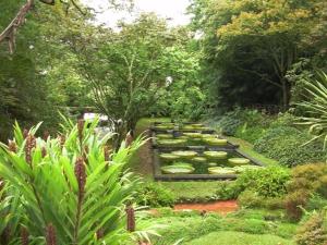 a garden with a row of plants and trees at Aparthotel Barracuda in Ponta Delgada