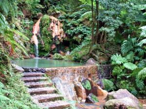 a waterfall in the middle of a forest with a staircase at Aparthotel Barracuda in Ponta Delgada