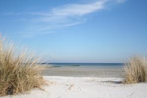una playa con hierba alta y el océano en el fondo en Villa Strandblick 10, en Zingst 18 fotos más