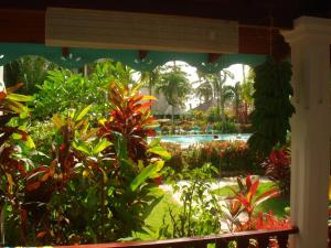 Aed väljaspool majutusasutust Hotel Playa Colibri